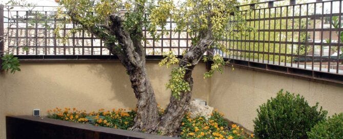 Jardineras acero